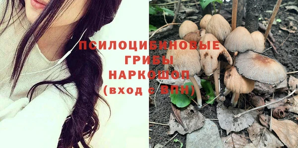 бошки Абдулино