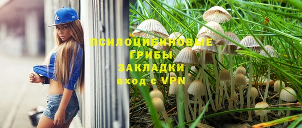 бошки Абдулино