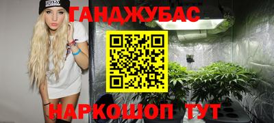 гидра Ачхой-Мартан