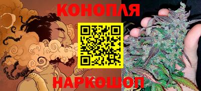 кокс Аша