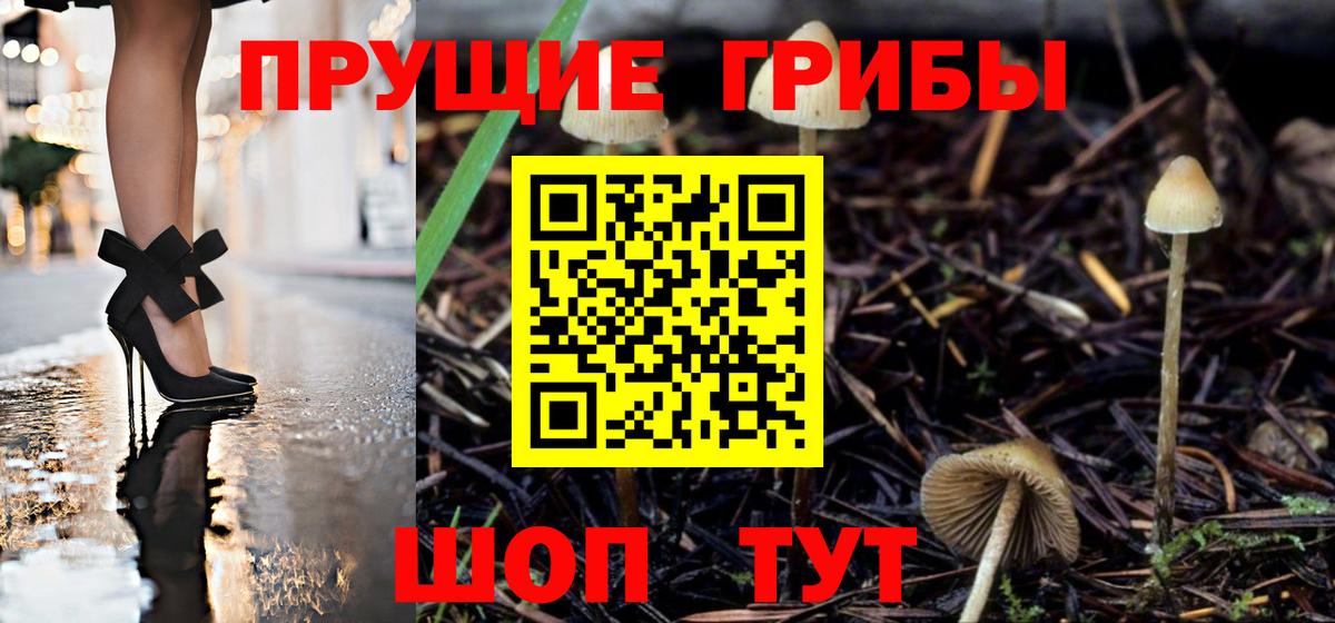 Усть-Кут  Галлюциногенные грибы MAGIC MUSHROOMS  Вход с VPN  Псилоцибиновые грибы Psilocybe 