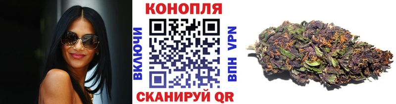 купить наркотик  Усть-Кут  hydra как войти  Шишки марихуана OG Kush 